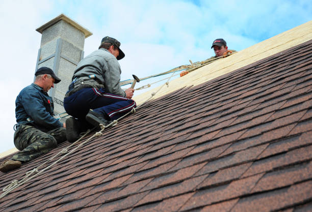 Best Storm Damage Roof Repair  in Bradley Beach, NJ